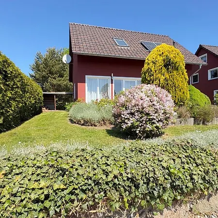 Kegelrobbe *